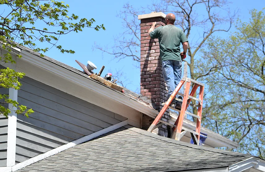 Chimney & Fireplace Inspections Services in Pleasant Grove, UT